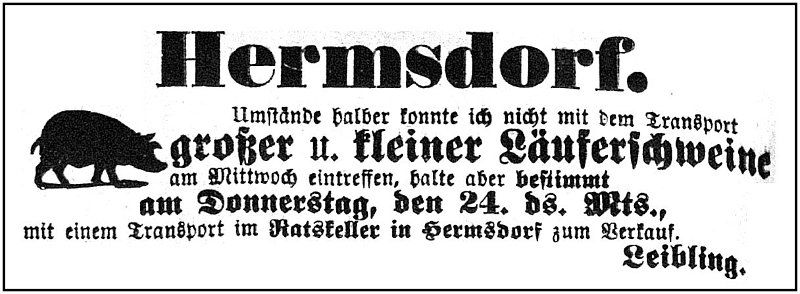 1902-07-24 Hdf Schweineverkauf